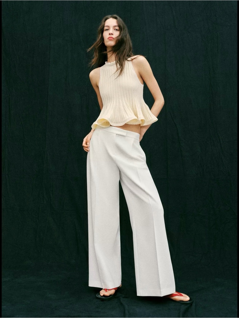 NWT‼️ ZARA PLEATED WIDE LEG PANTS